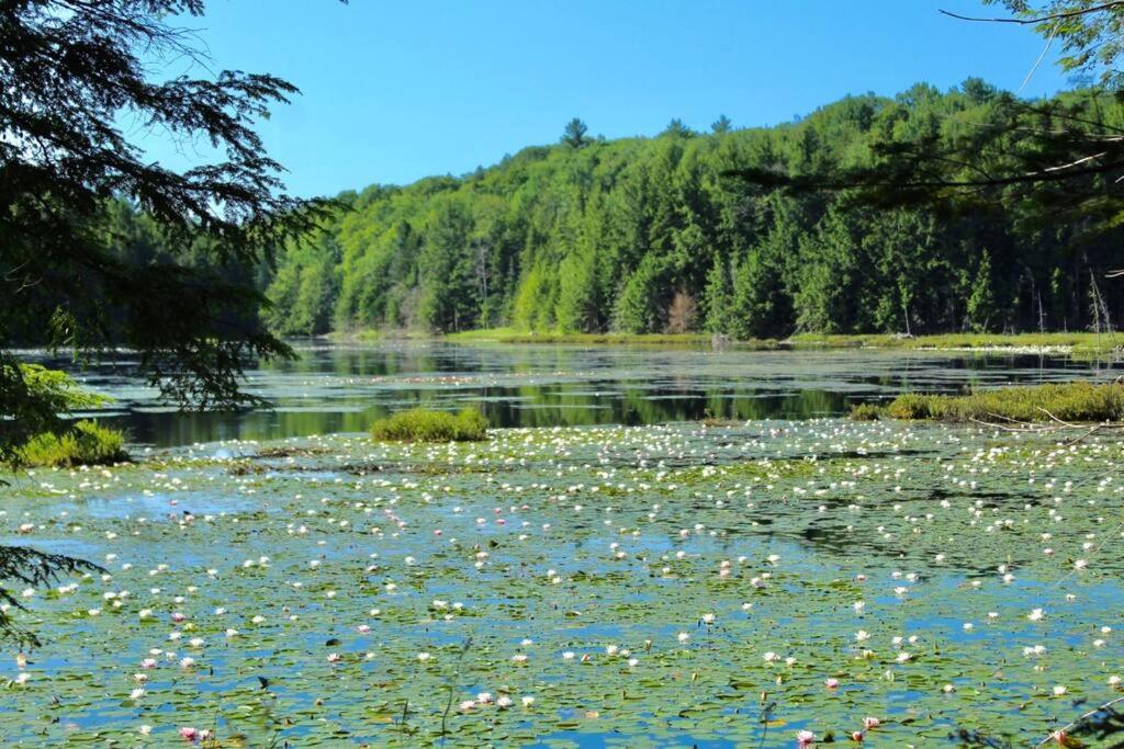 Vermont Ski Home Lake Home