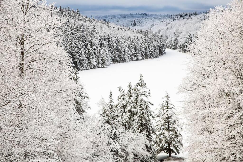 Vermont Ski Home Lake Home