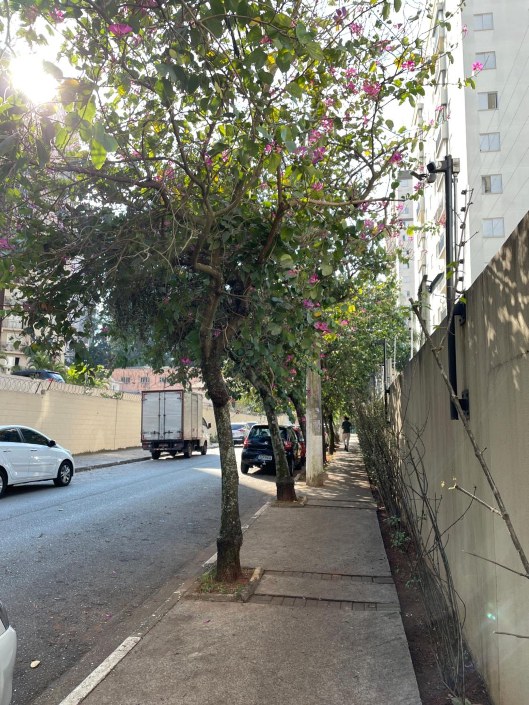 Conforto a 5 min do São Paulo Expo e Jardim Botânico