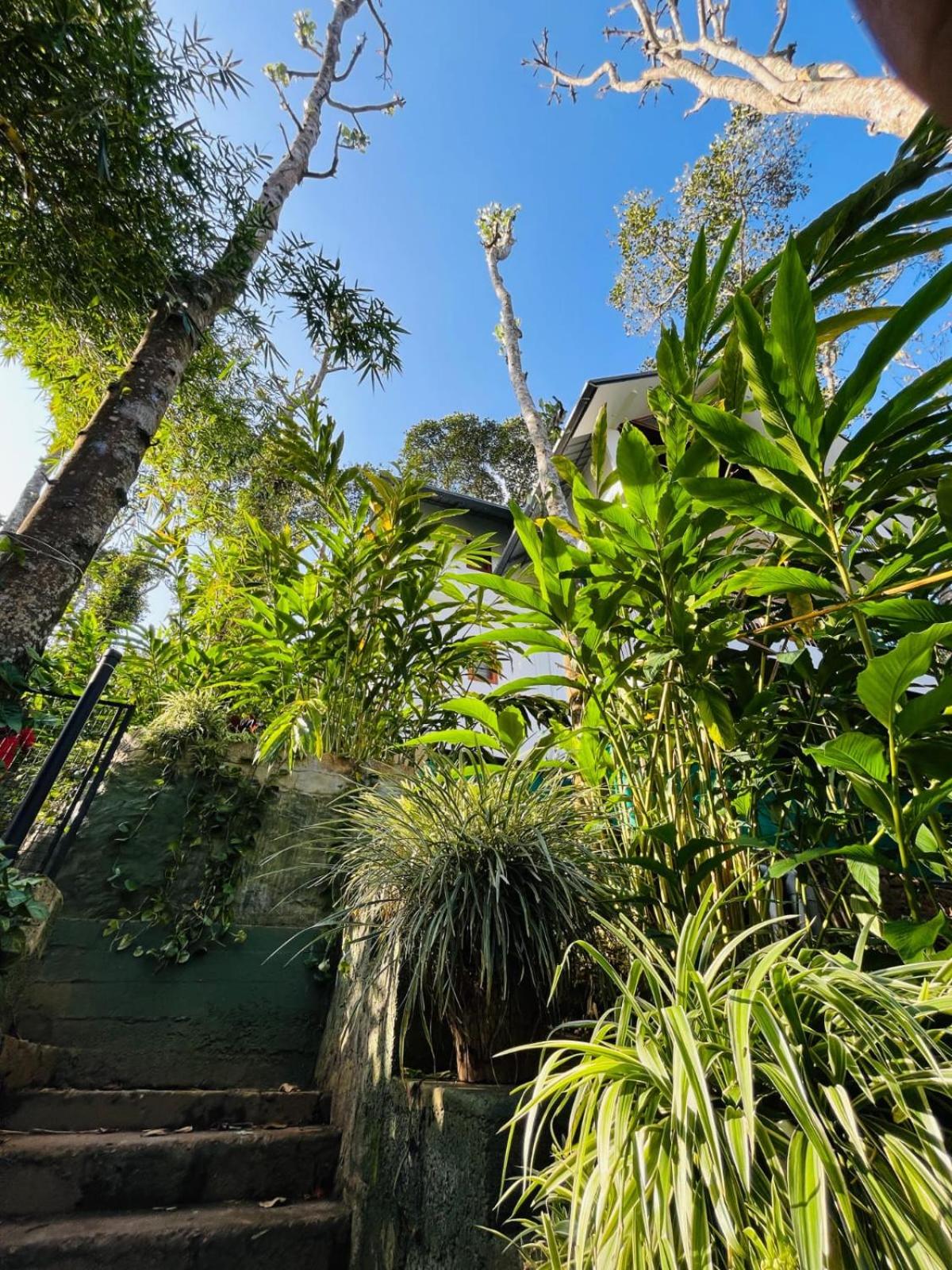 Lush Acres