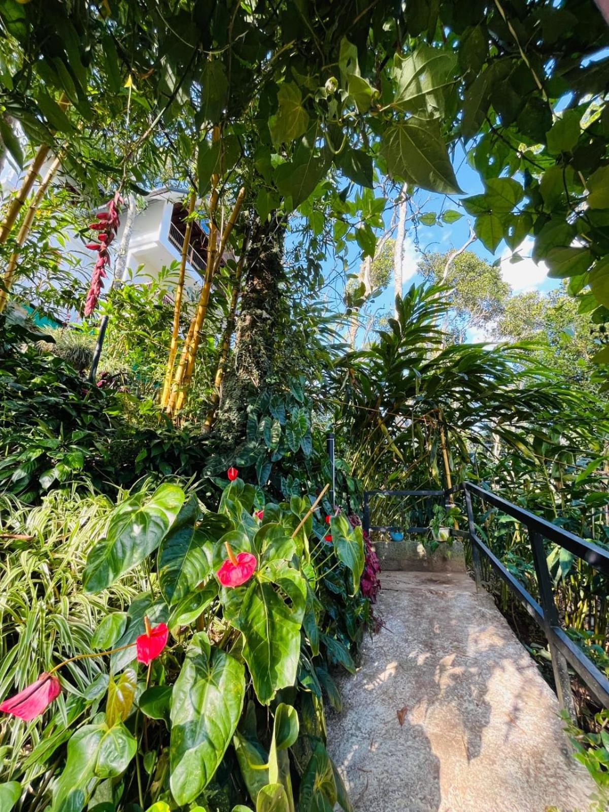Lush Acres