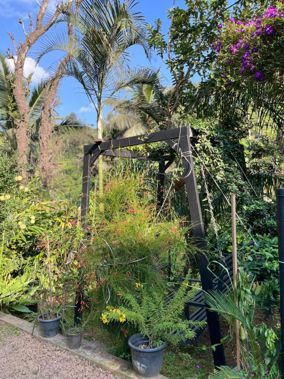 Lush Acres