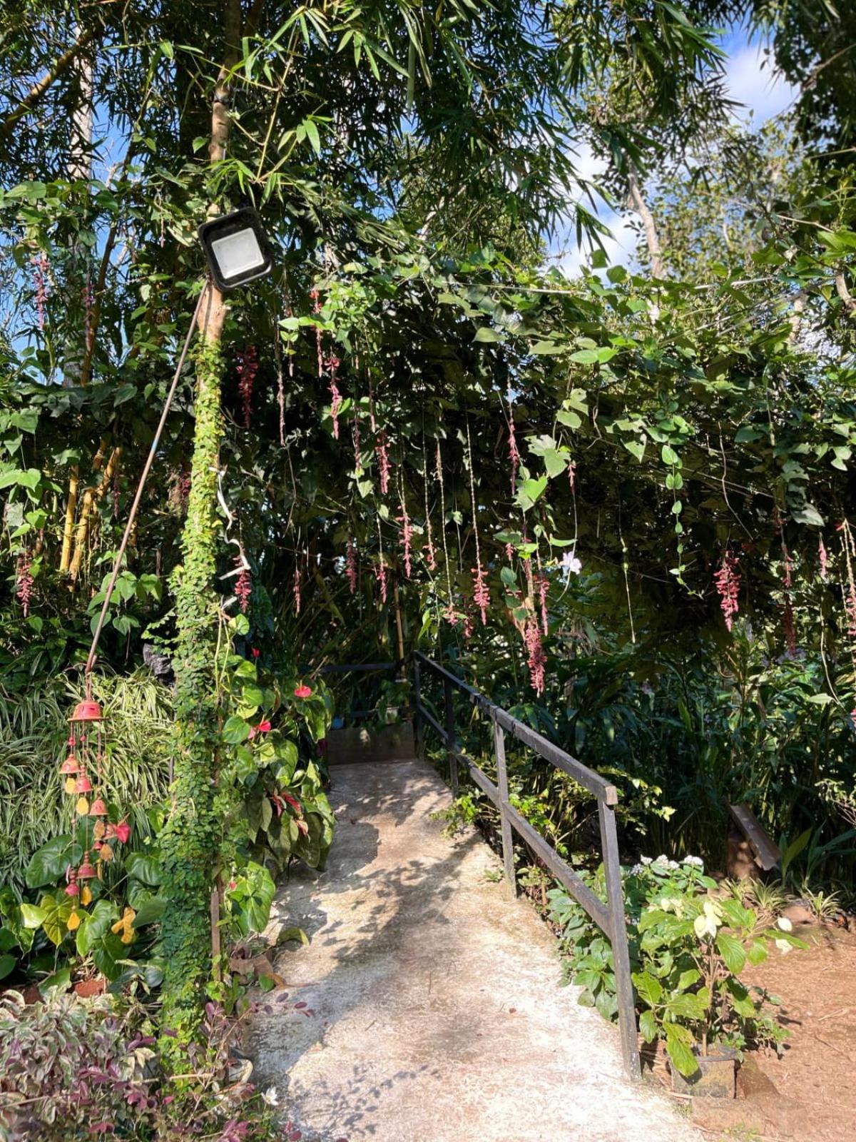 Lush Acres