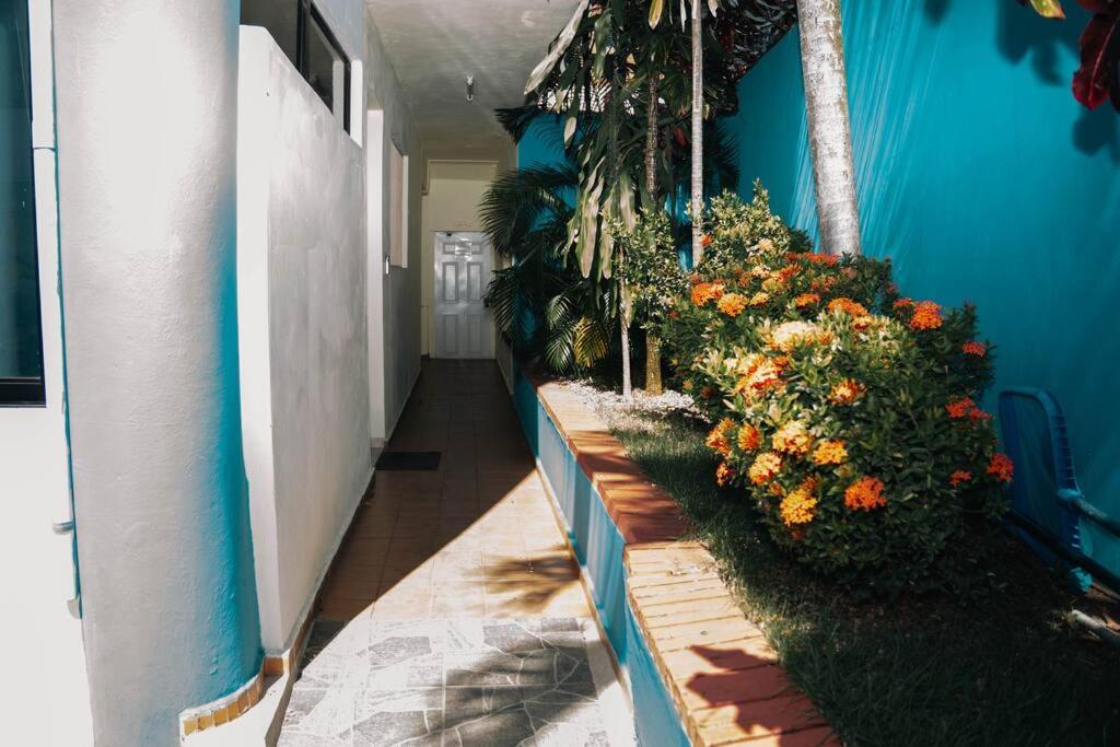 Photo 33
