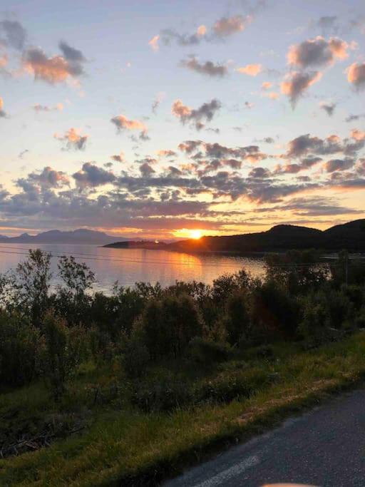 Moose Island- Lofoten, Tromsø, Senja in one step view 3