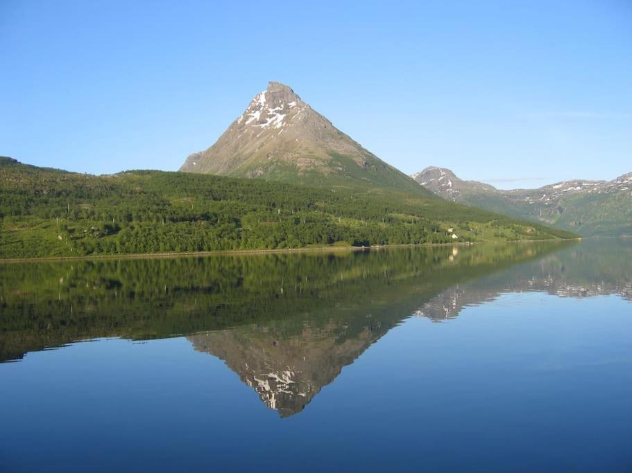 Photo 50