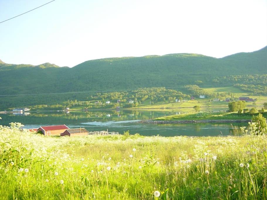 Photo 61