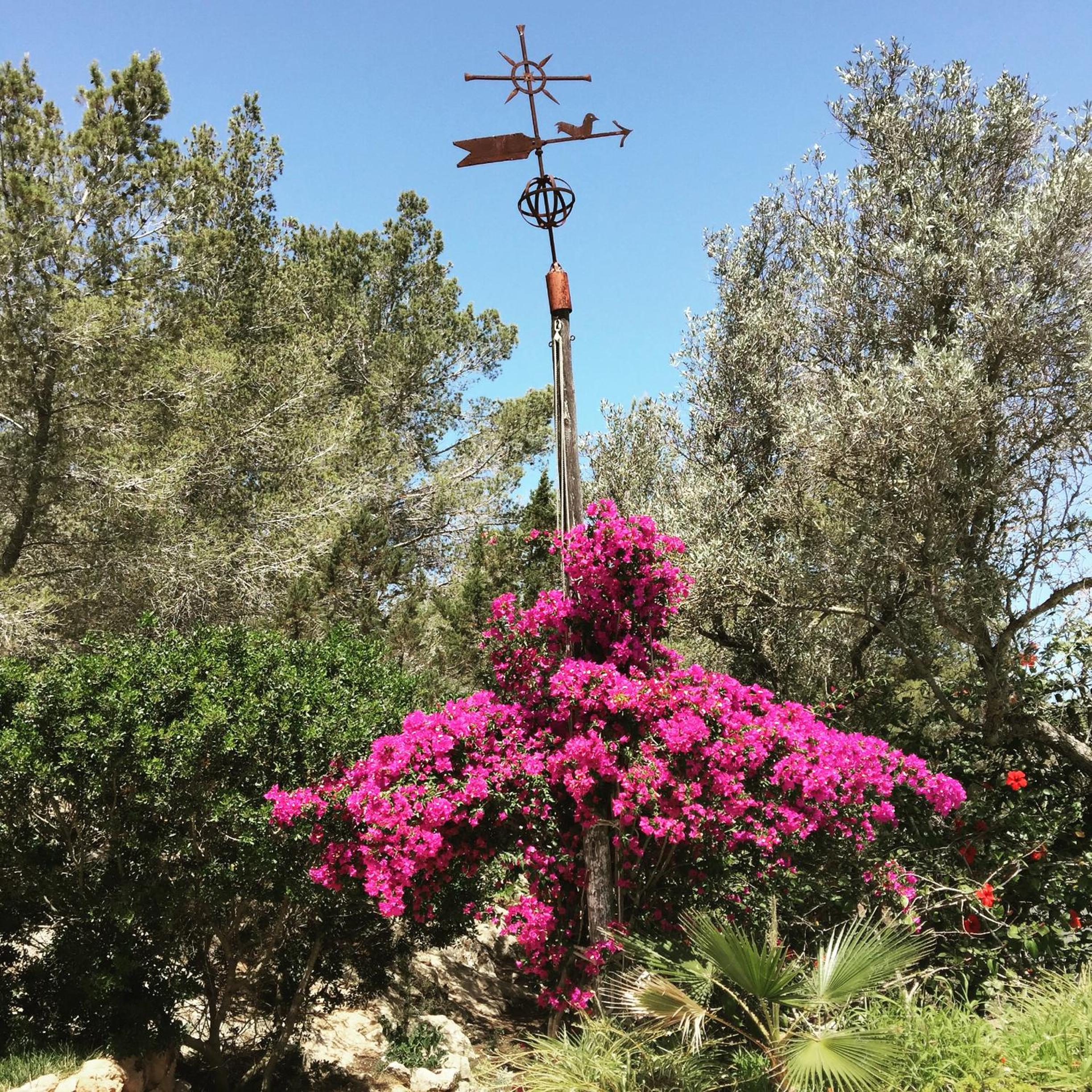 encantadora casa ibicenca