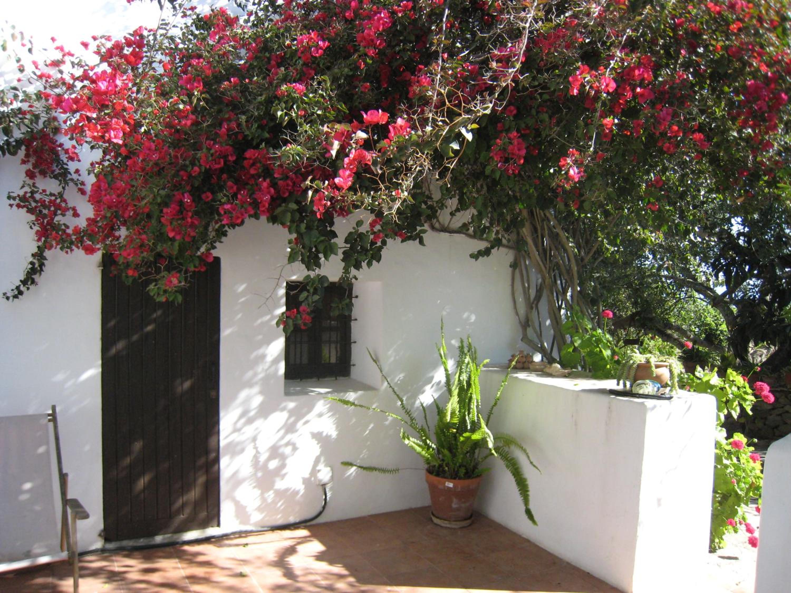 encantadora casa ibicenca