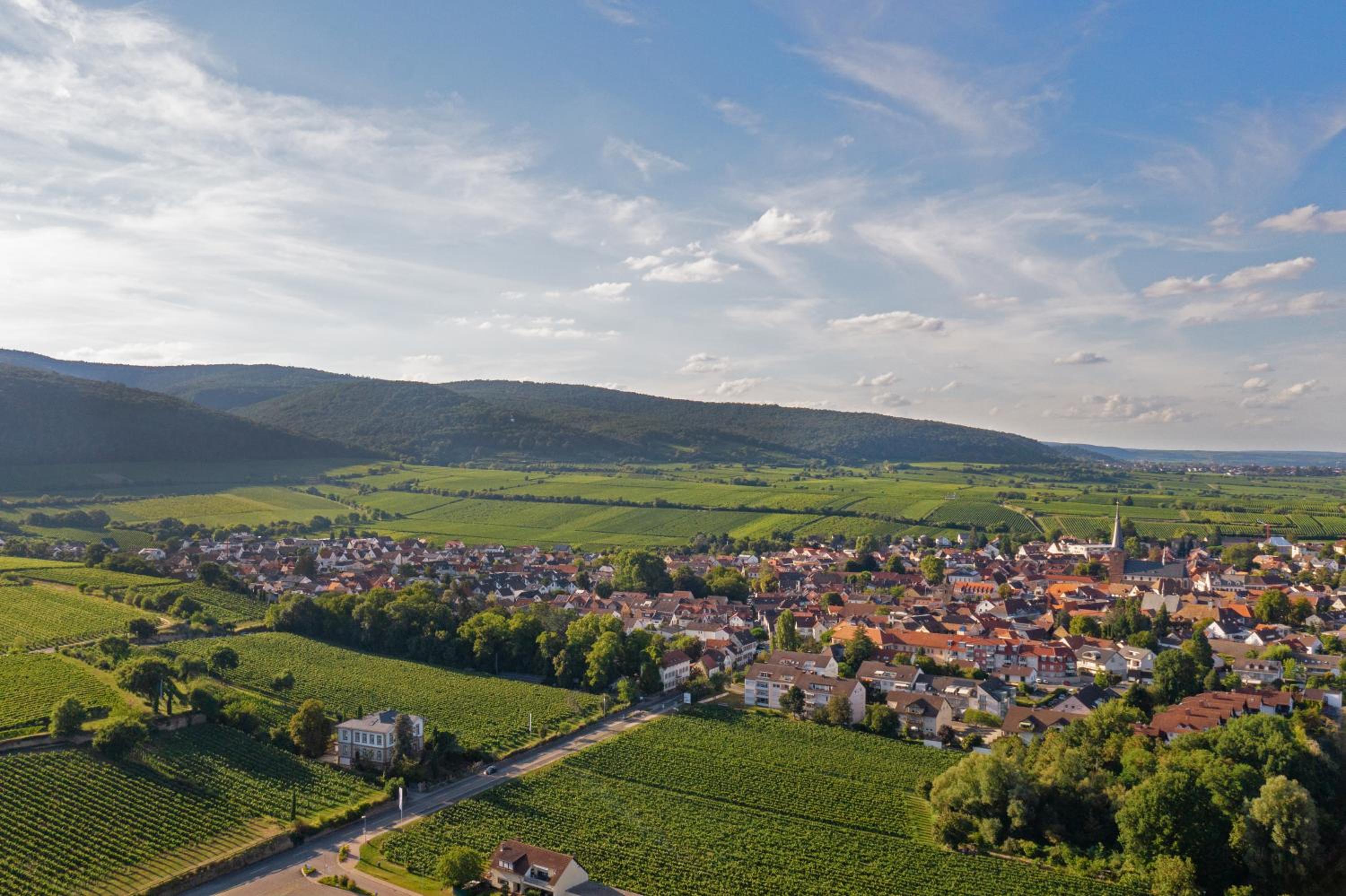 Deidesheimer Haus