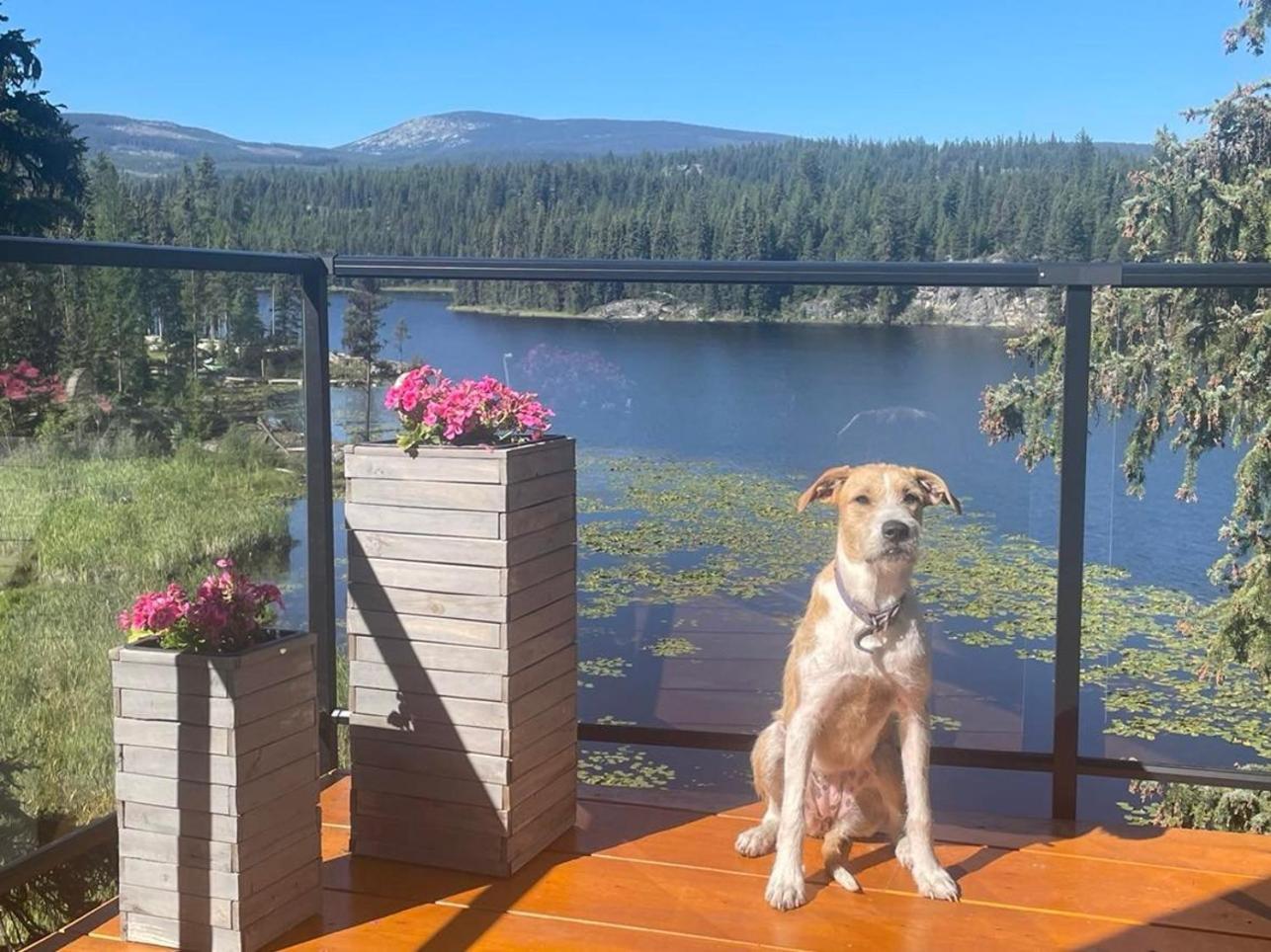 Idabel Lake Getaway near Kelowna & Big White