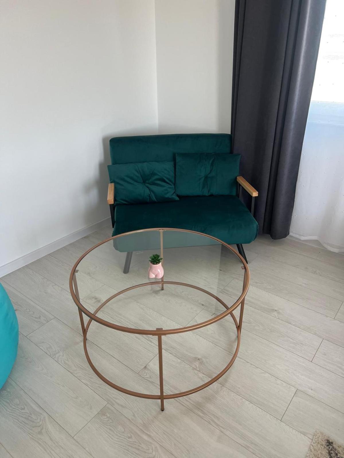Lake View Apartment Iasi view 5