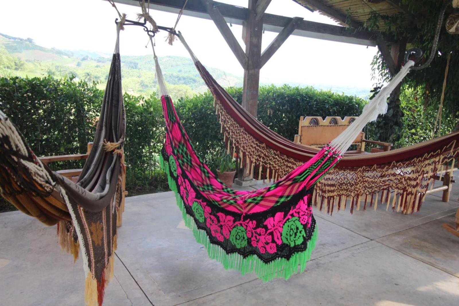 Finca Nuevo Monarca