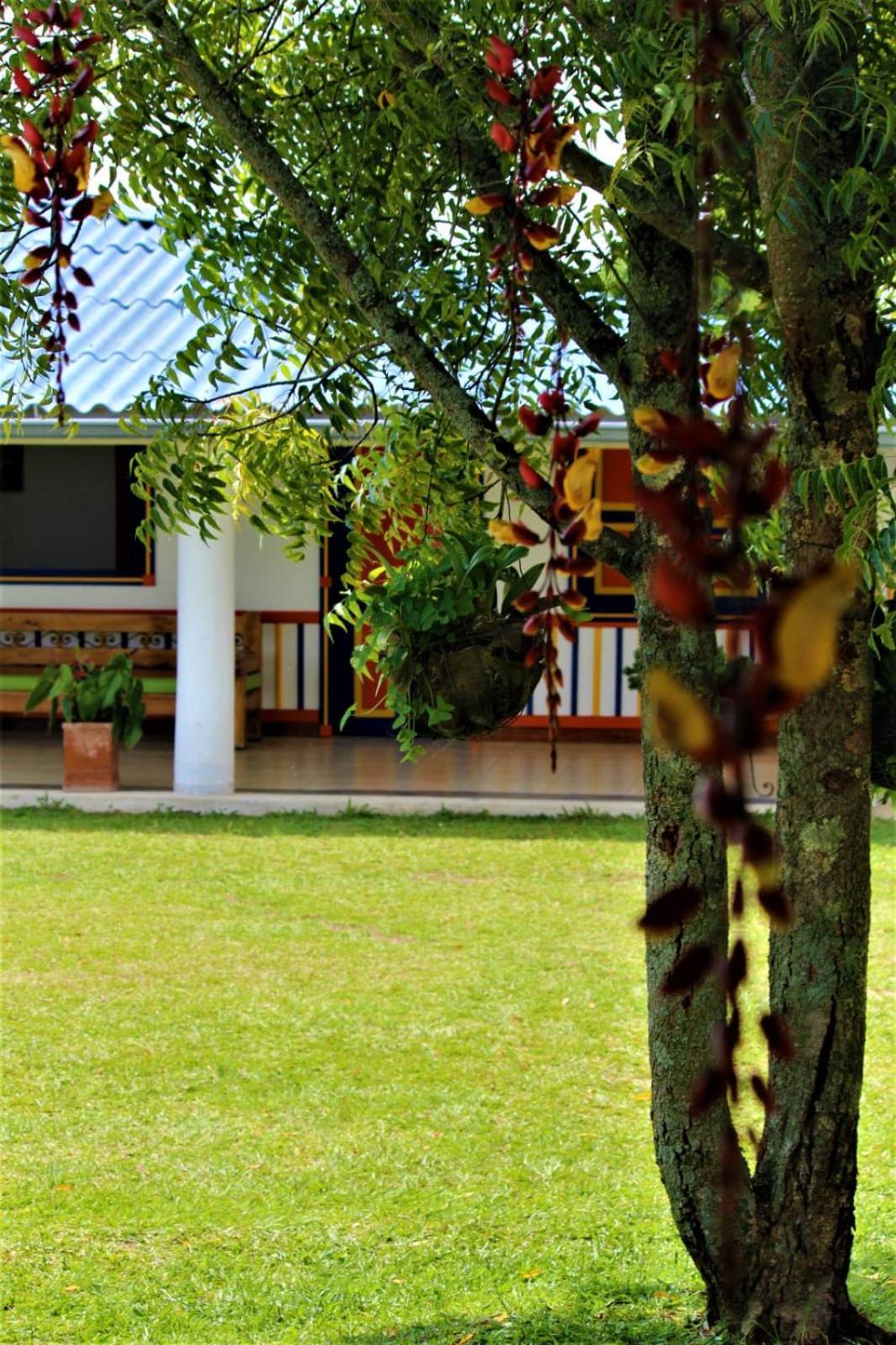 Finca Nuevo Monarca