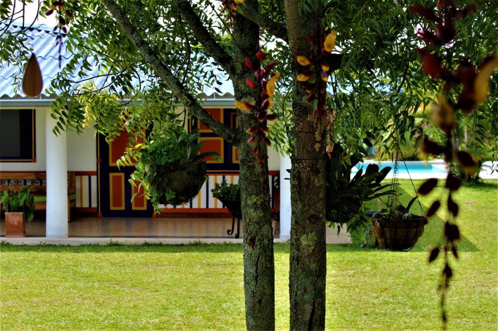 Finca Nuevo Monarca