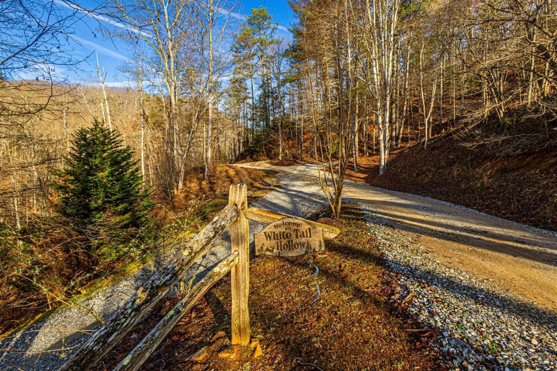 White Tail Hollow view 5