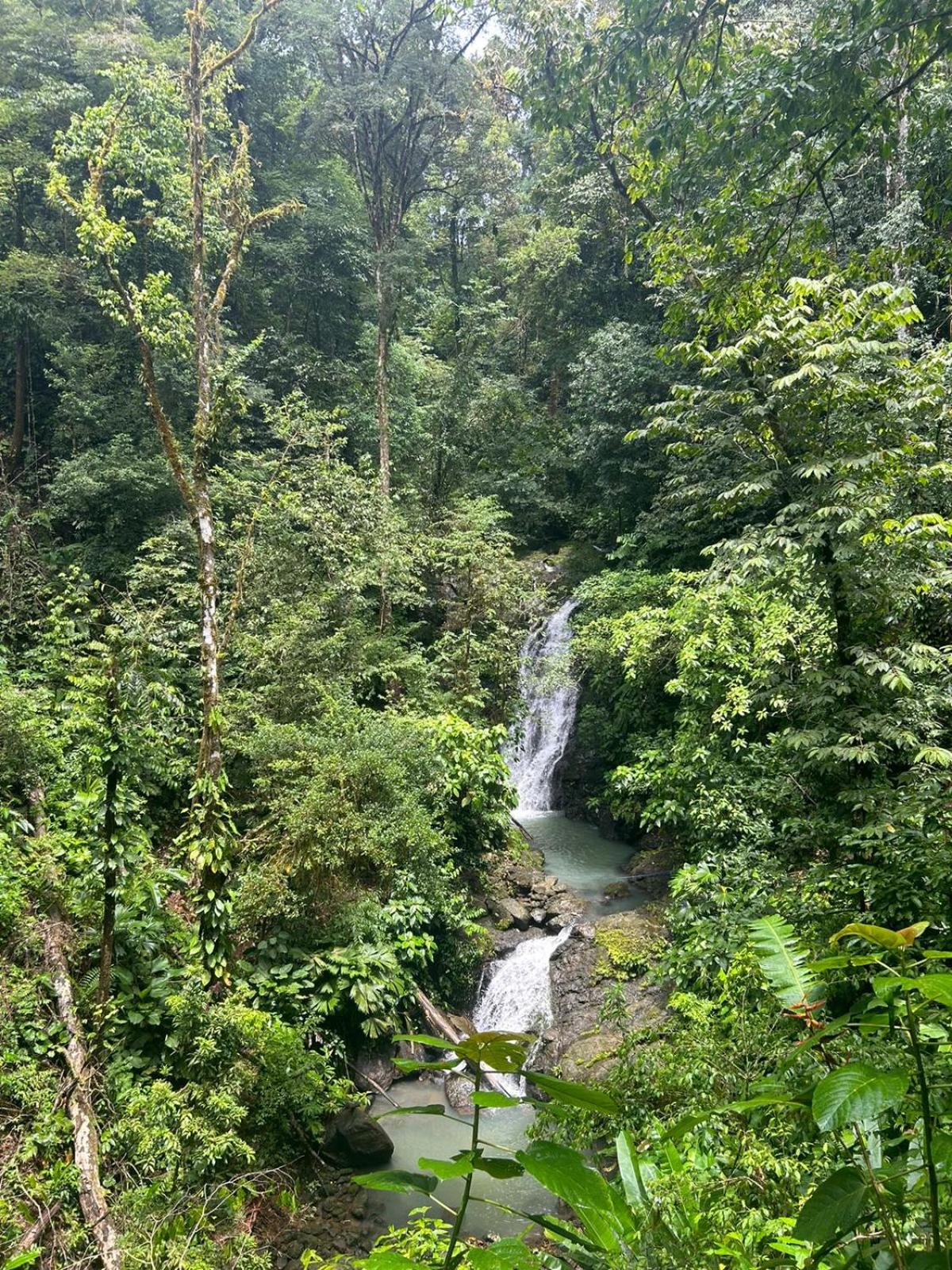 Pacific Breeze Lodge