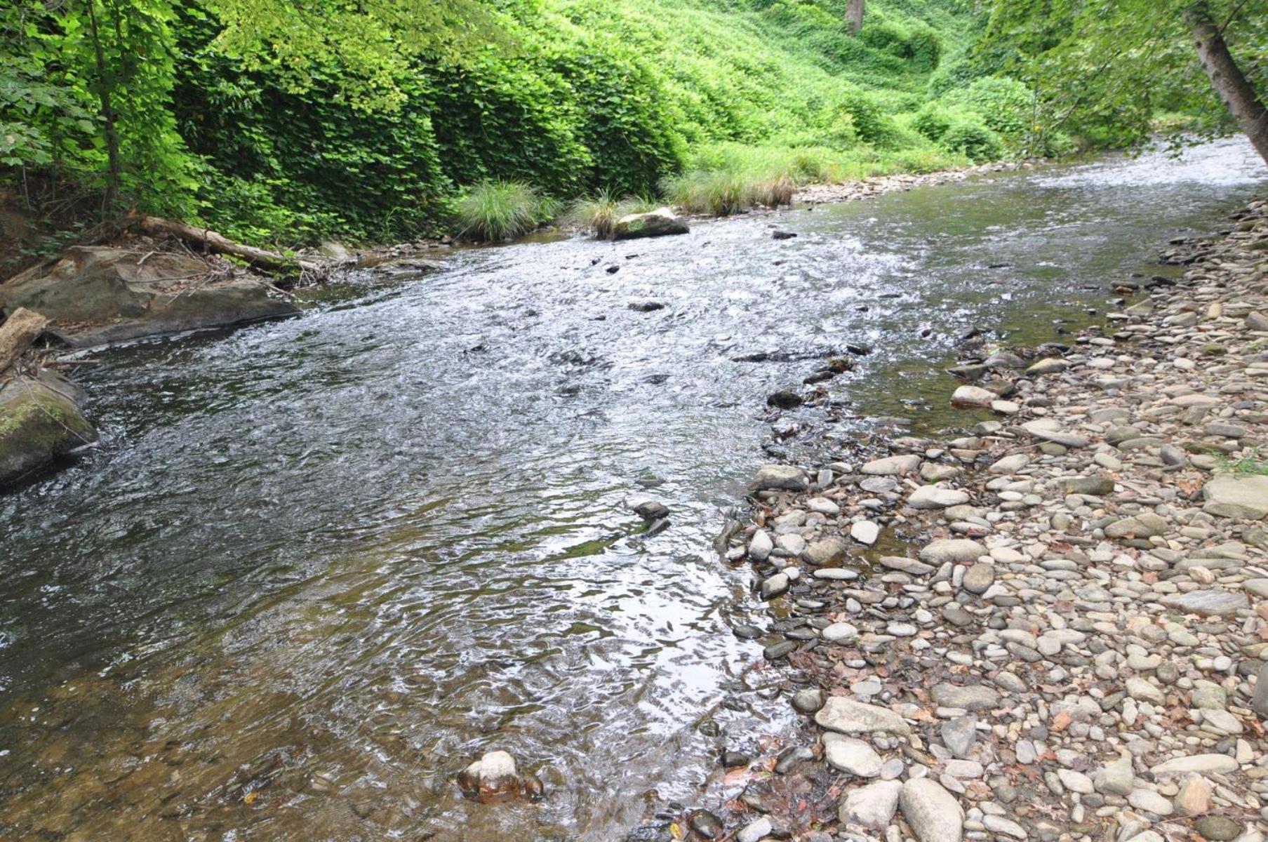 Creekside Hideaway view 3