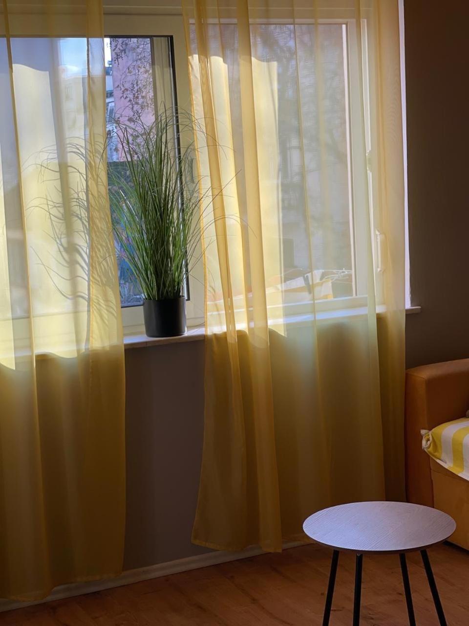 Central Apartment