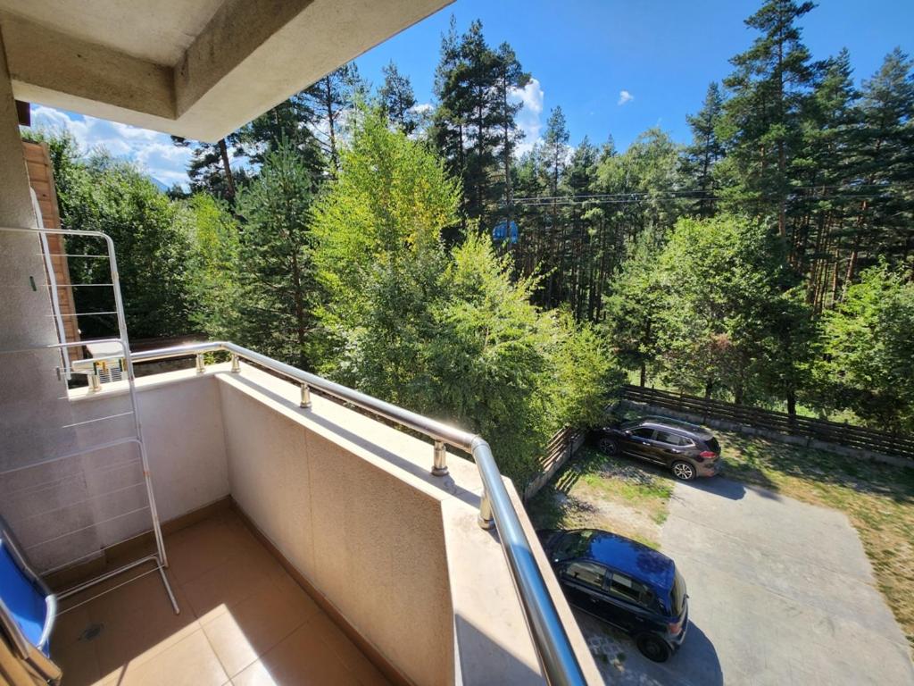 Pine tree Easy Ski access - Next 100m to Ski slope and forest view