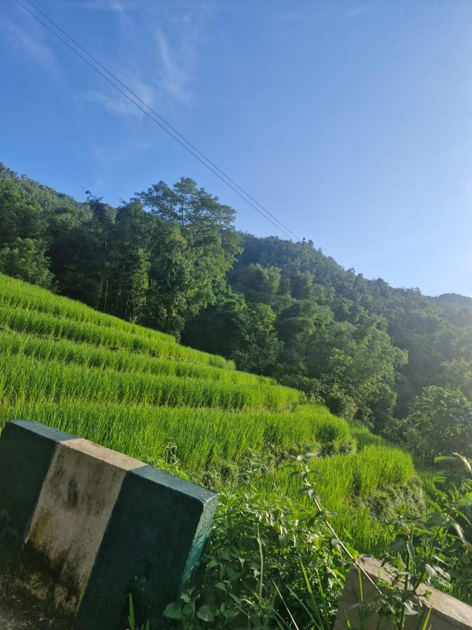 Maiti Ghar Home Stay view 5