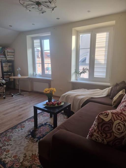 Rasos apartamentai senamiestyje