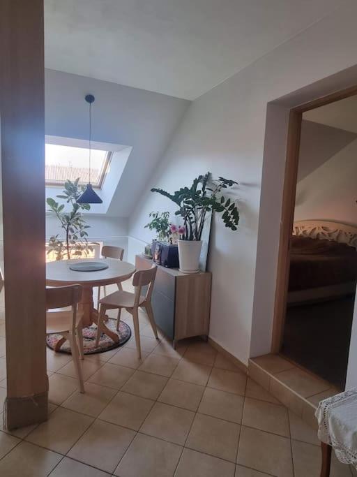 Rasos apartamentai senamiestyje