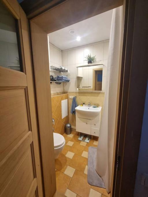 Rasos apartamentai senamiestyje