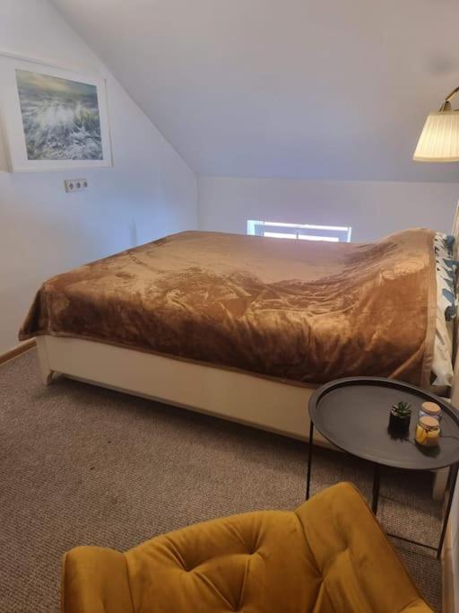 Rasos apartamentai senamiestyje