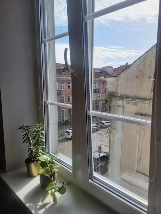 Rasos apartamentai senamiestyje