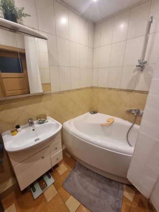 Rasos apartamentai senamiestyje