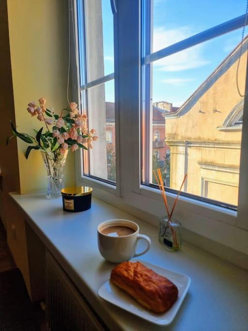 Rasos apartamentai senamiestyje