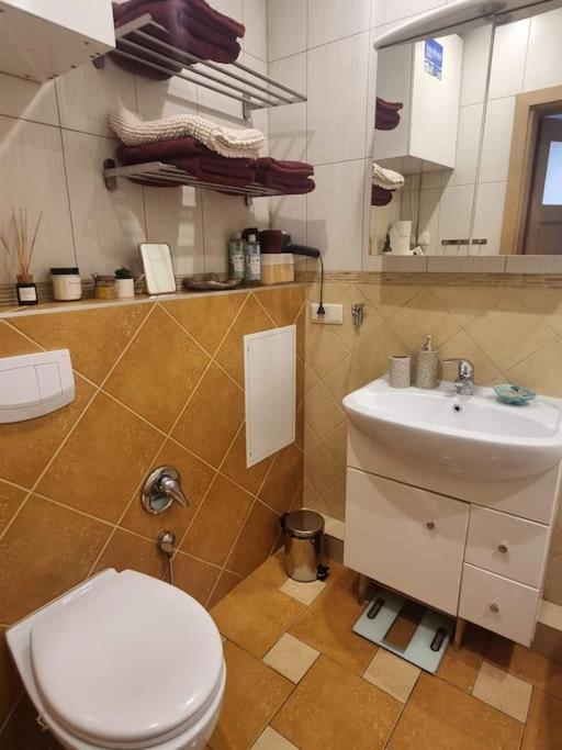 Rasos apartamentai senamiestyje