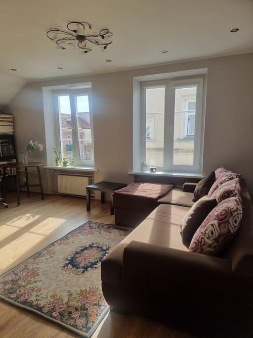 Rasos apartamentai senamiestyje