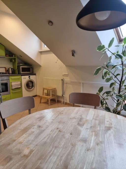 Rasos apartamentai senamiestyje