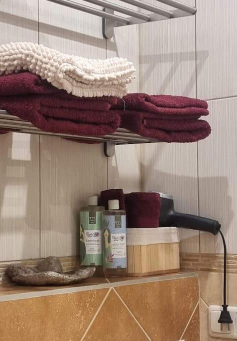 Rasos apartamentai senamiestyje