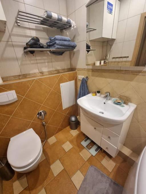 Rasos apartamentai senamiestyje