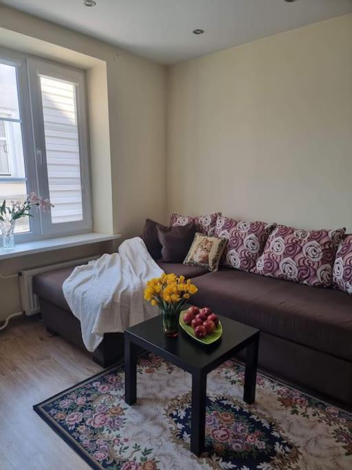 Rasos apartamentai senamiestyje