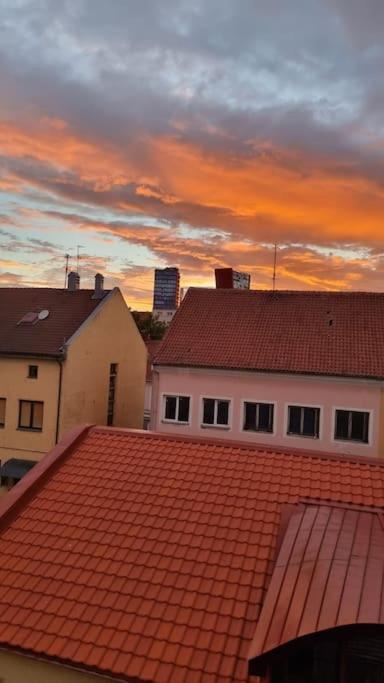 Rasos apartamentai senamiestyje