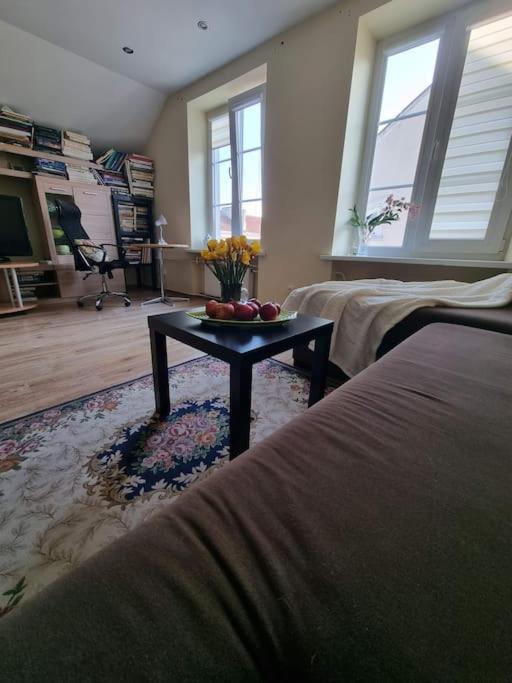 Rasos apartamentai senamiestyje