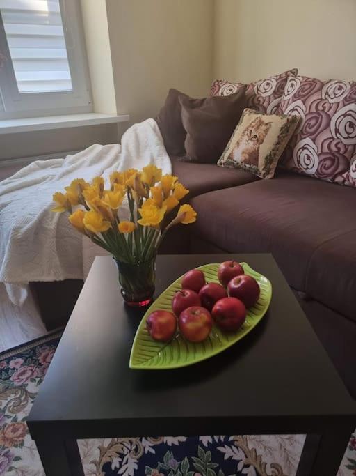 Rasos apartamentai senamiestyje