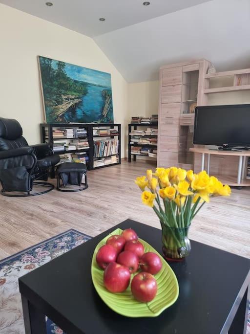 Rasos apartamentai senamiestyje