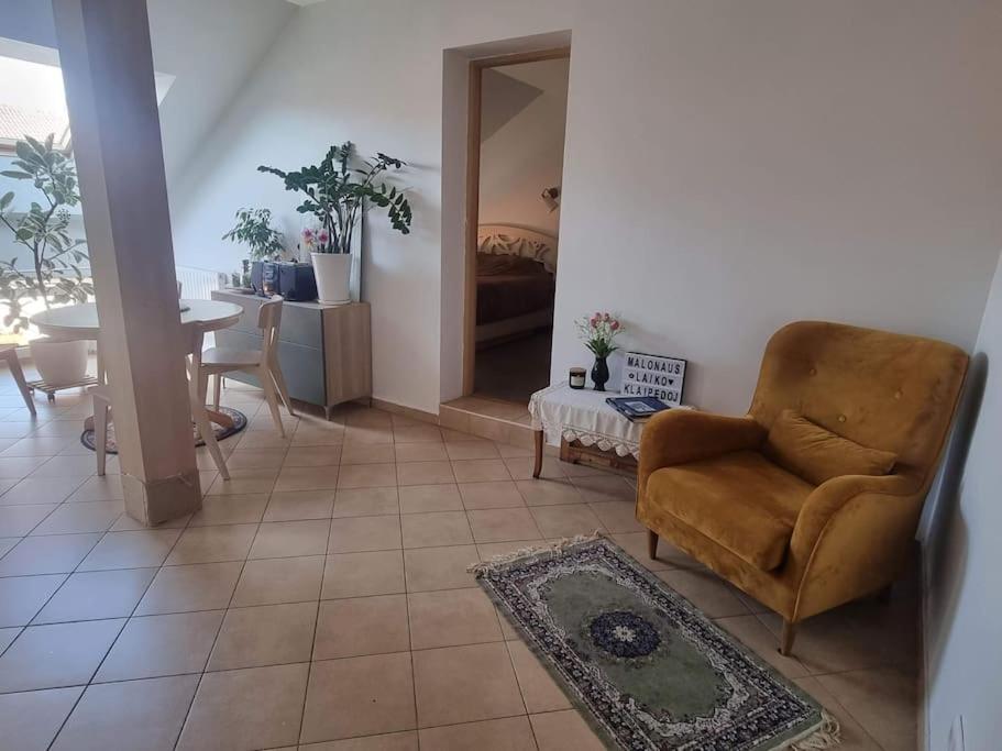 Rasos apartamentai senamiestyje