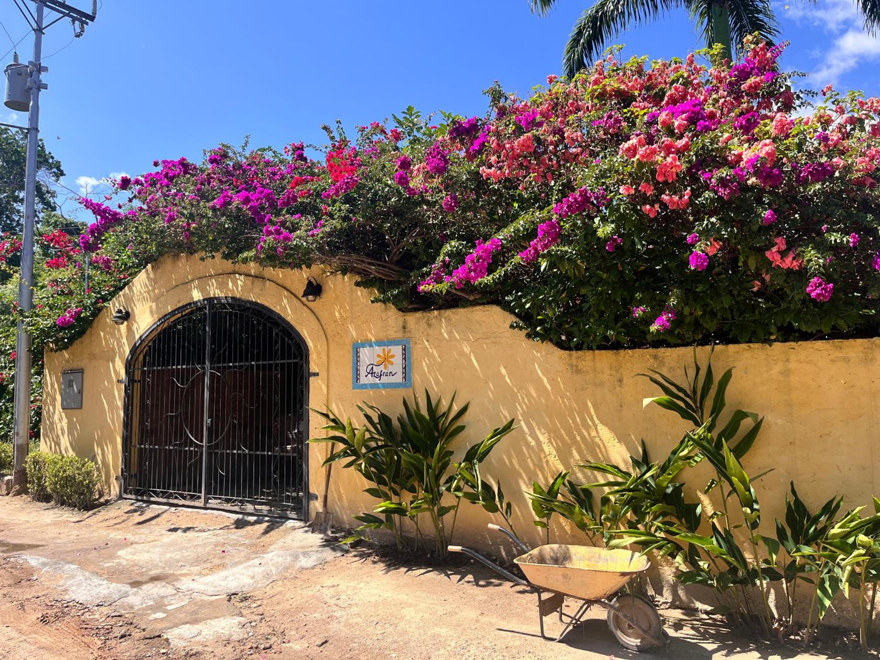 Posada Azafran en Choroni view 4