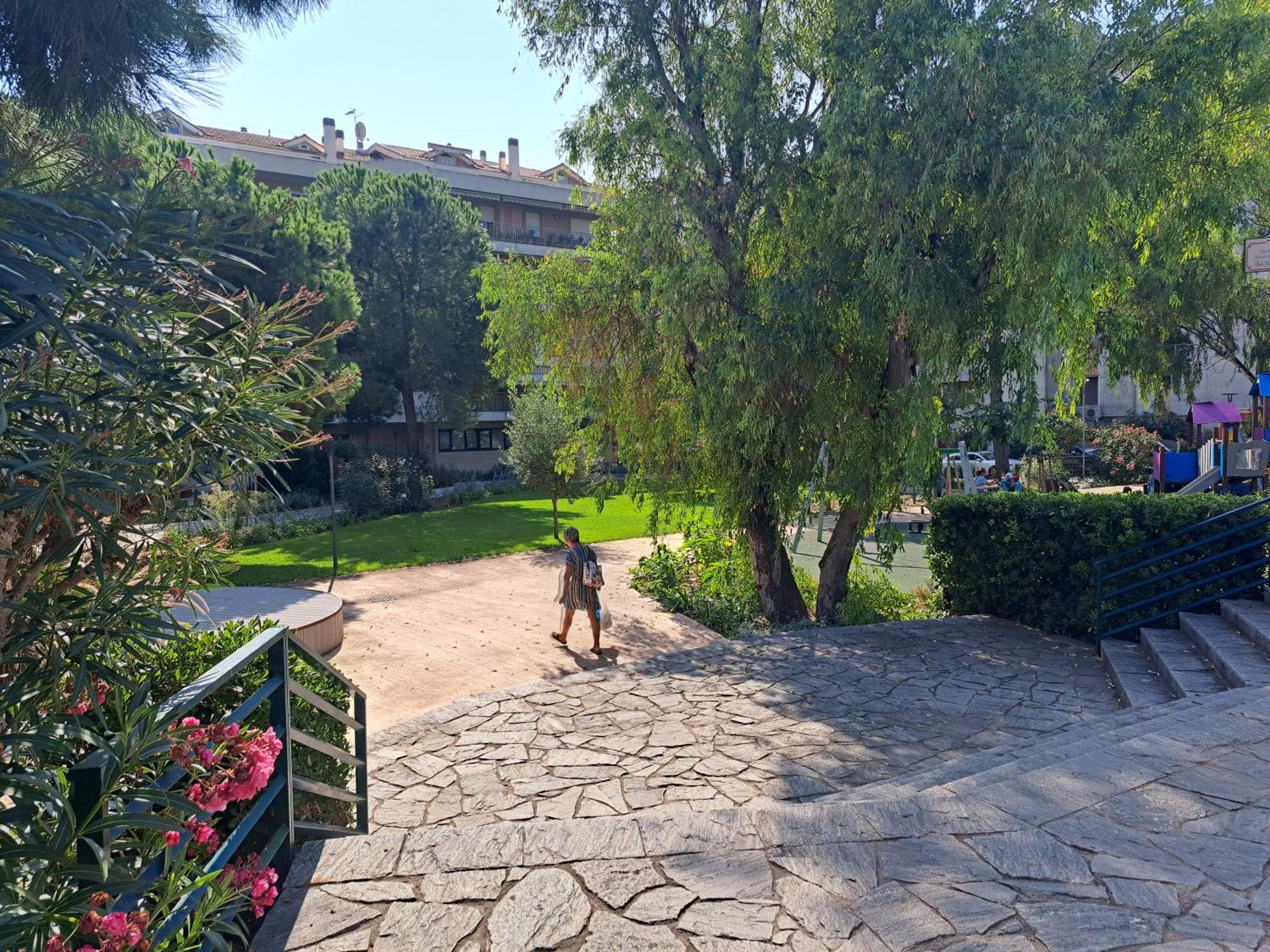 Photo 6