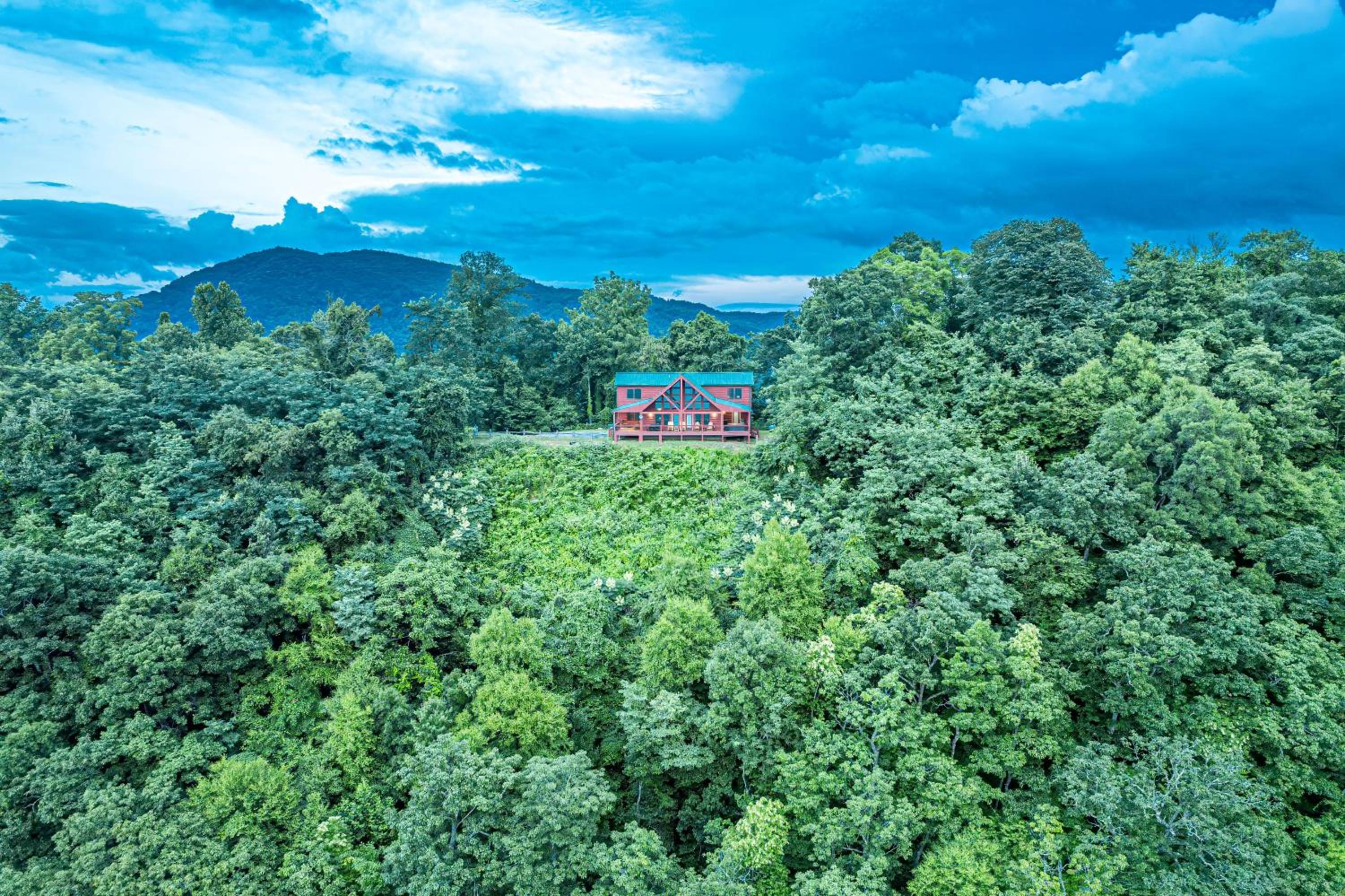 A Bear`s Retreat view 5