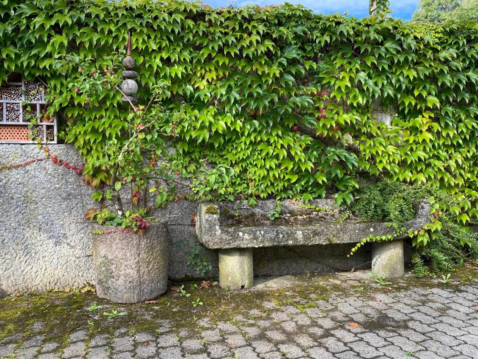 Haus Vogl - Fewo mit priv. Sauna und traumhaften Salzwasser-Pool