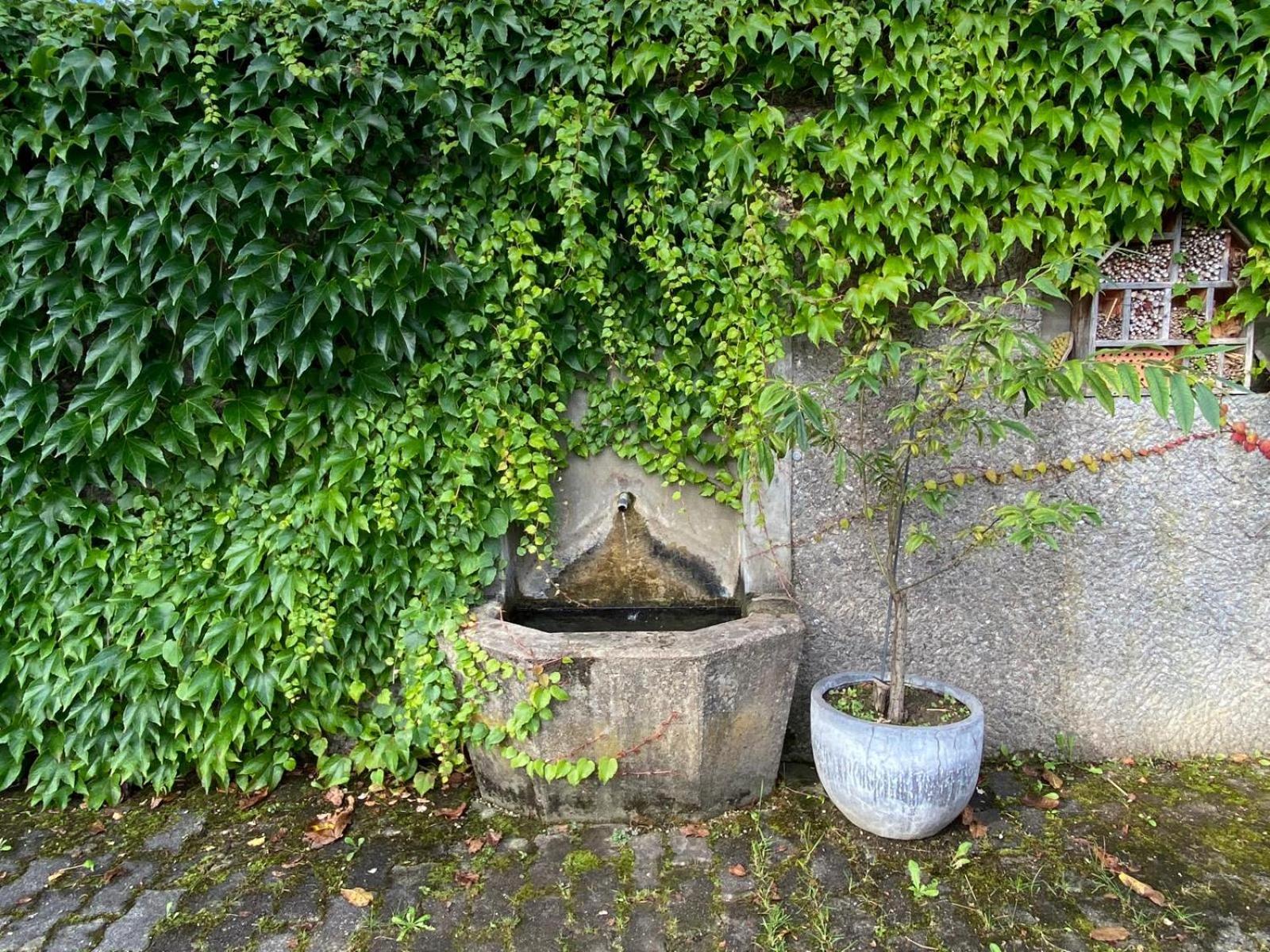 Haus Vogl - Fewo mit priv. Sauna und traumhaften Salzwasser-Pool