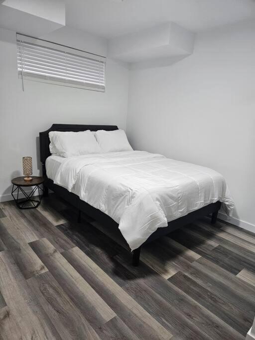 Entire Basement Suite With Private Entrance