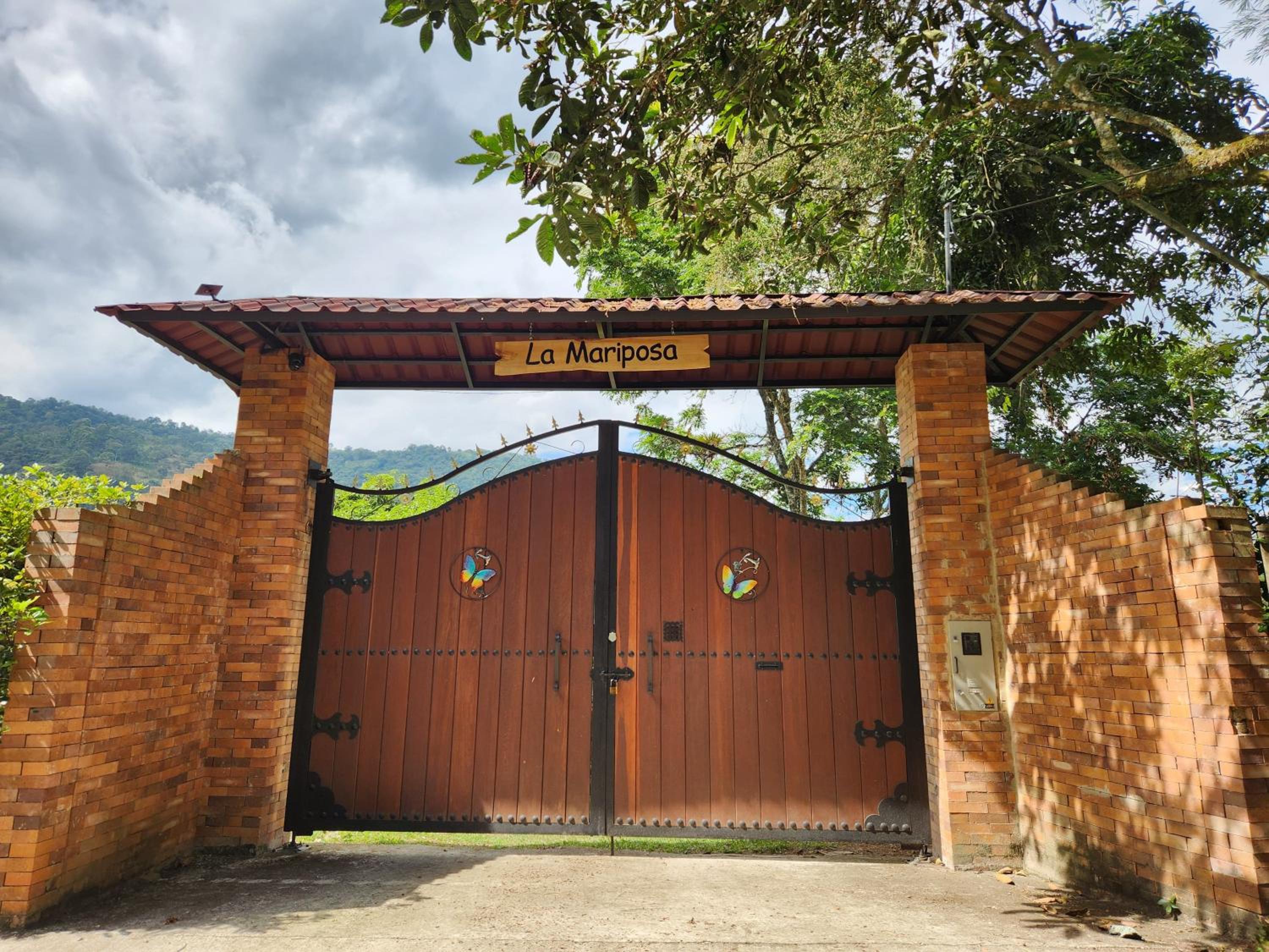 Ecomariposa